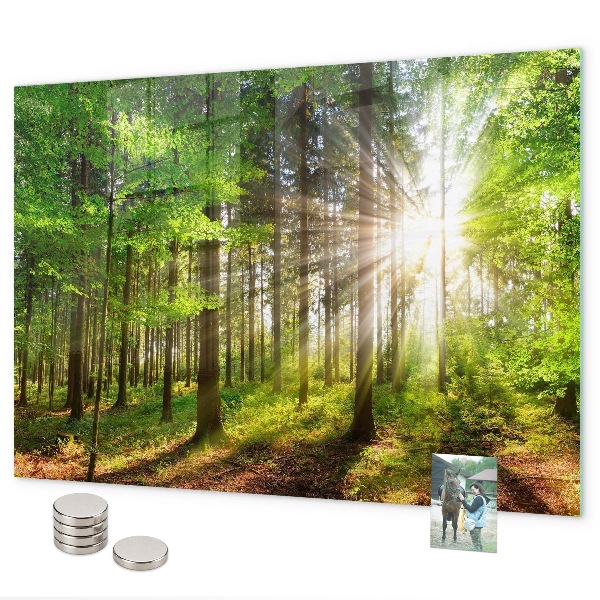 Lavagna magnetica L'alba nella foresta
