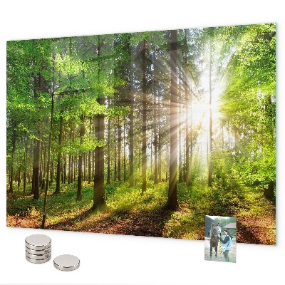 Lavagna magnetica L'alba nella foresta
