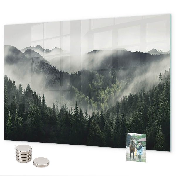 Lavagna magnetica per calamite Paesaggio forestale