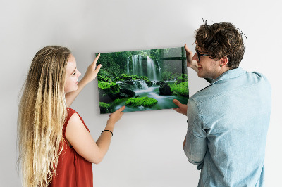 Lavagna magnetica per calamite Cascata tra il muschio