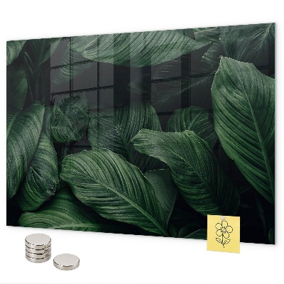Lavagna magnetica per calamite Monstera tropicale