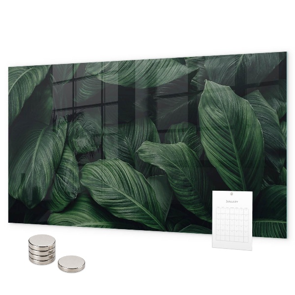 Lavagna magnetica per calamite Monstera tropicale