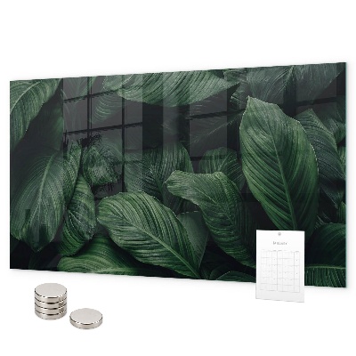 Lavagna magnetica per calamite Monstera tropicale