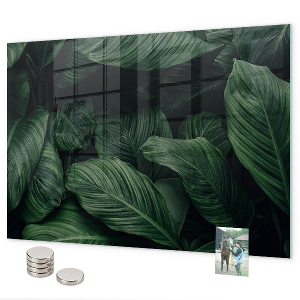 Lavagna magnetica per calamite Monstera tropicale