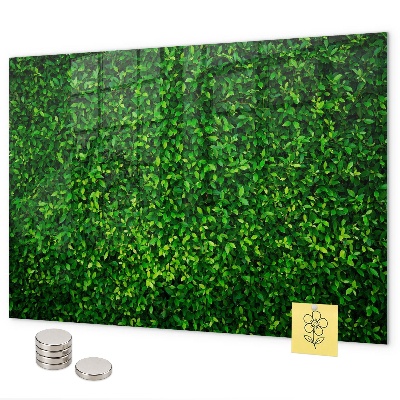 Lavagna magnetica Foglie di siepe