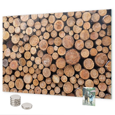 Lavagna magnetica per calamite Anelli degli alberi