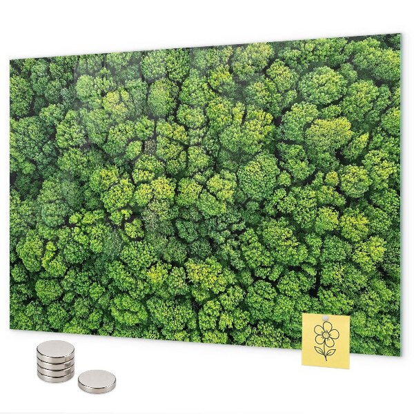 Lavagna magnetica per calamite Foresta vista dall'alto