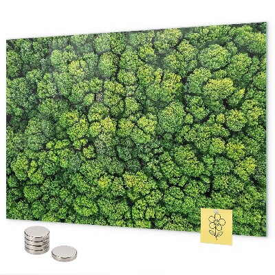 Lavagna magnetica per calamite Foresta vista dall'alto