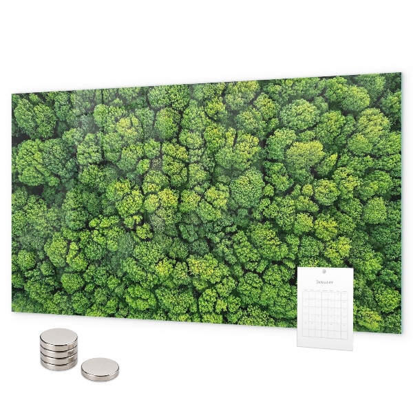 Lavagna magnetica per calamite Foresta vista dall'alto