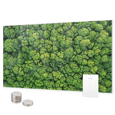 Lavagna magnetica per calamite Foresta vista dall'alto