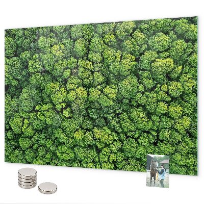 Lavagna magnetica per calamite Foresta vista dall'alto
