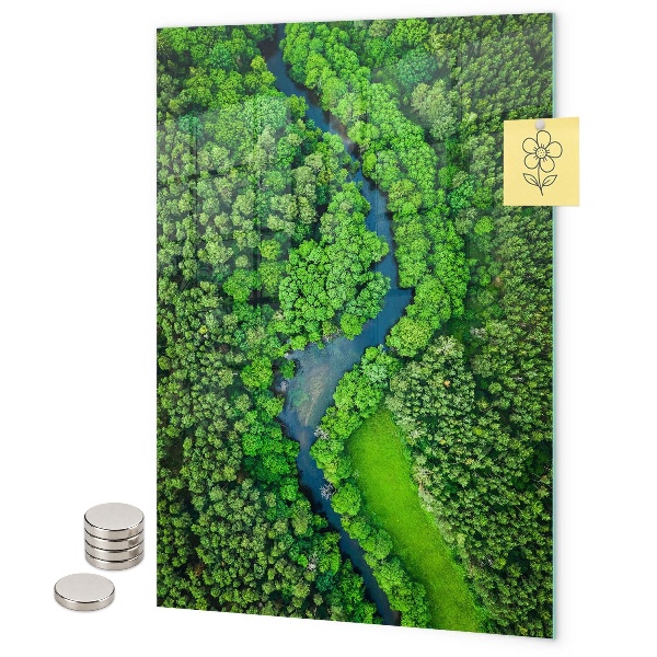 Lavagna magnetica da parete Foresta alberi fiume