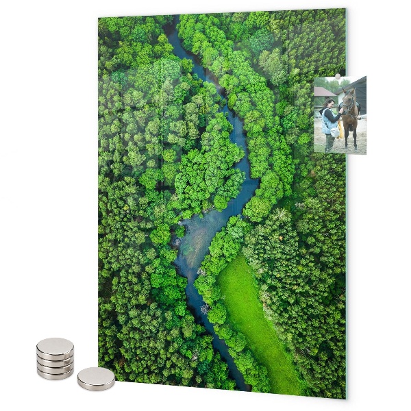 Lavagna magnetica da parete Foresta alberi fiume