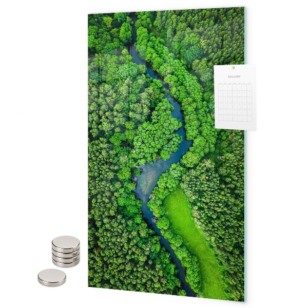 Lavagna magnetica da parete Foresta alberi fiume