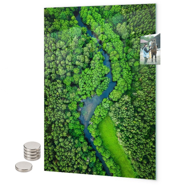Pittura lavagna magnetica Foglie tropicali