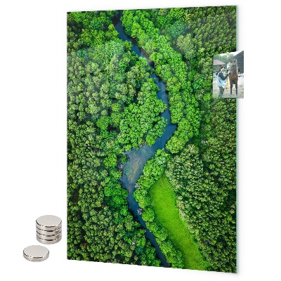 Pittura lavagna magnetica Foglie tropicali