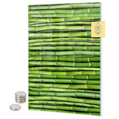 Lavagna magnetica da parete Bambù verde