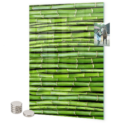 Lavagna magnetica da parete Bambù verde