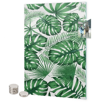 Pittura lavagna magnetica foglie di monstera tropicale