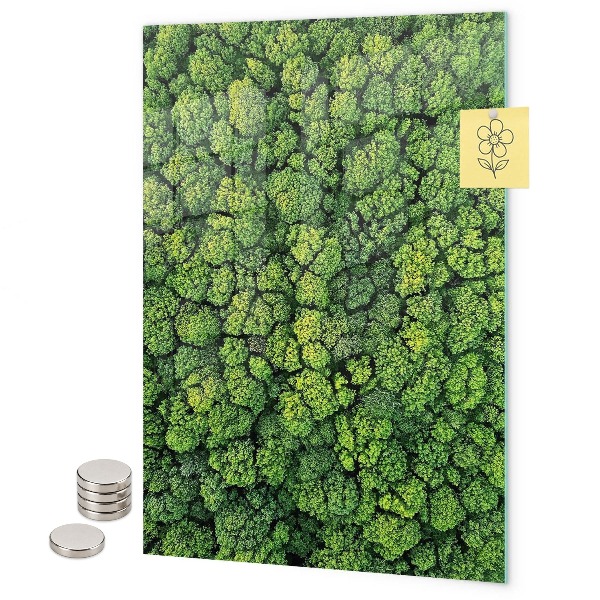 Lavagna magnetica da parete alberi natura foresta