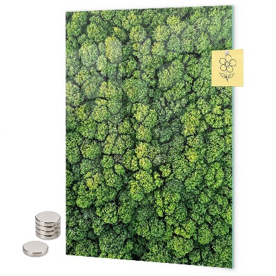 Lavagna magnetica da parete alberi natura foresta