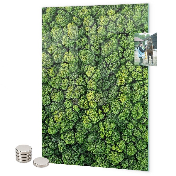 Lavagna magnetica da parete alberi natura foresta
