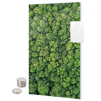 Lavagna magnetica da parete alberi natura foresta