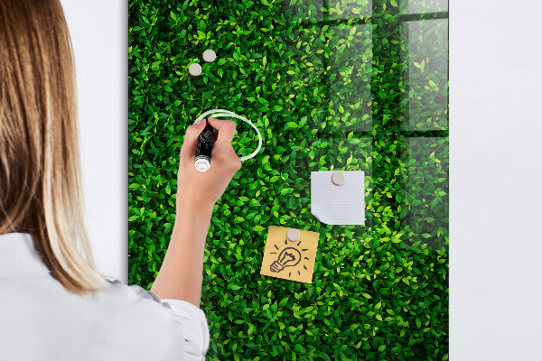 Lavagna magnetica scrivibile Bacheca fotografica verde
