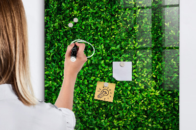 Lavagna magnetica scrivibile Bacheca fotografica verde