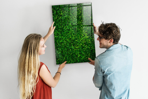 Lavagna magnetica scrivibile Bacheca fotografica verde
