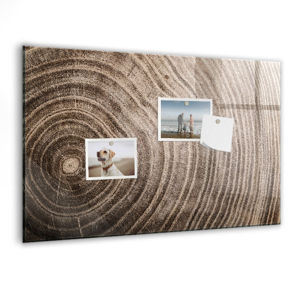 Lavagna magnetica scrivibile Lavagna per appunti con magneti e foto