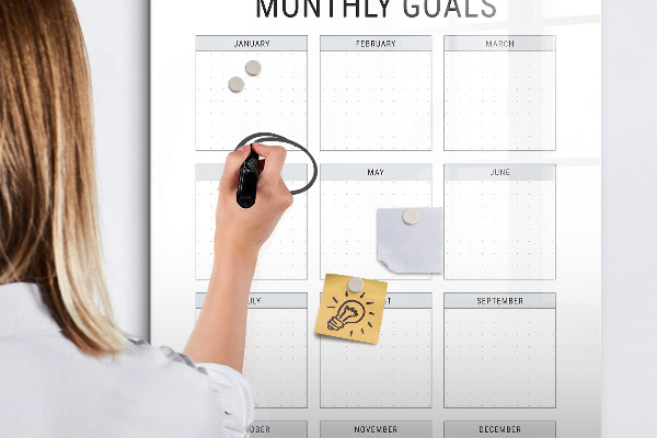 Lavagna magnetica scrivibile Pianificazione degli obiettivi e delle attività mensili