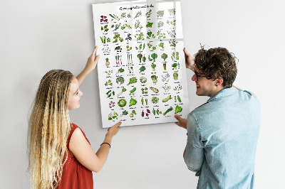 Lavagna magnetica con pennarelli Verdure ed erbe aromatiche in grafica