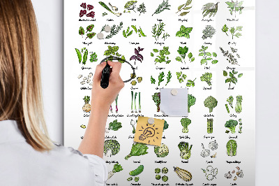 Lavagna magnetica con pennarelli Verdure ed erbe aromatiche in grafica