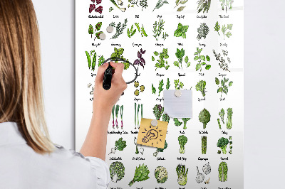 Lavagna magnetica con pennarelli Verdure ed erbe aromatiche in grafica
