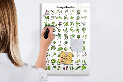 Lavagna magnetica con pennarelli Verdure ed erbe aromatiche in grafica