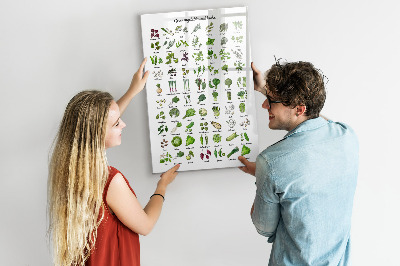 Lavagna magnetica con pennarelli Verdure ed erbe aromatiche in grafica