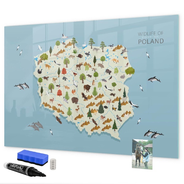 Lavagna magnetica con pennarelli Mappa naturalistica della Polonia con i luoghi ideali per scattare foto.
