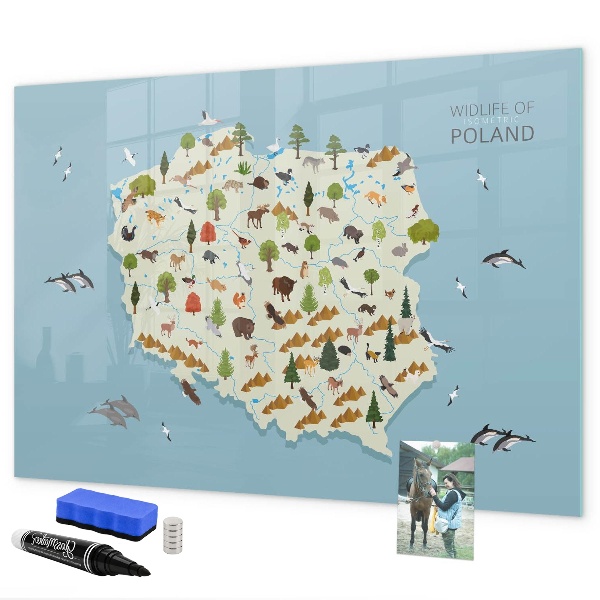 Lavagna magnetica con pennarelli Mappa naturalistica della Polonia con i luoghi ideali per scattare foto.