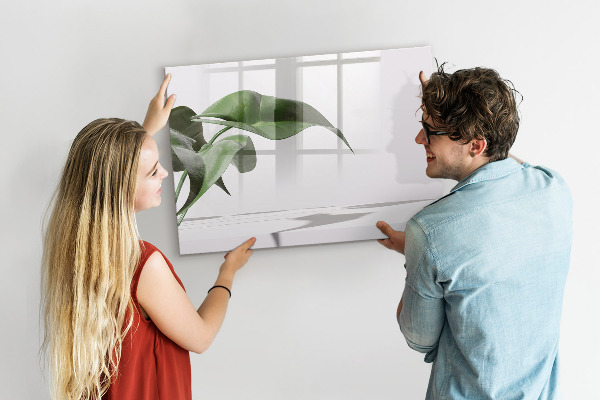 Lavagna magnetica scrivibile Piante e ricordi sul muro