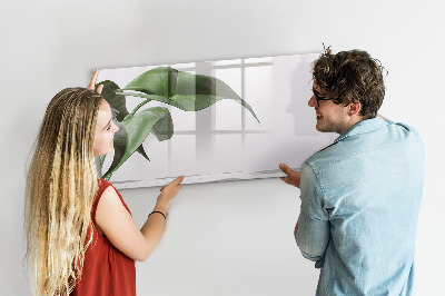 Lavagna magnetica scrivibile Piante e ricordi sul muro