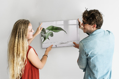 Lavagna magnetica scrivibile Piante e ricordi sul muro
