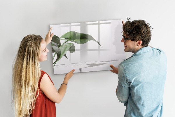 Lavagna magnetica scrivibile Piante e ricordi sul muro