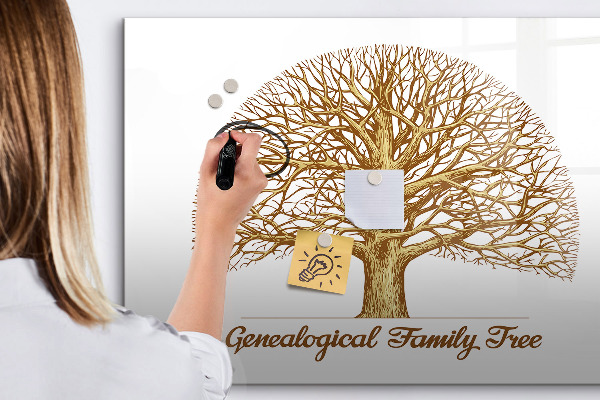 Lavagna magnetica con pennarelli Albero genealogico con spazio per le foto
