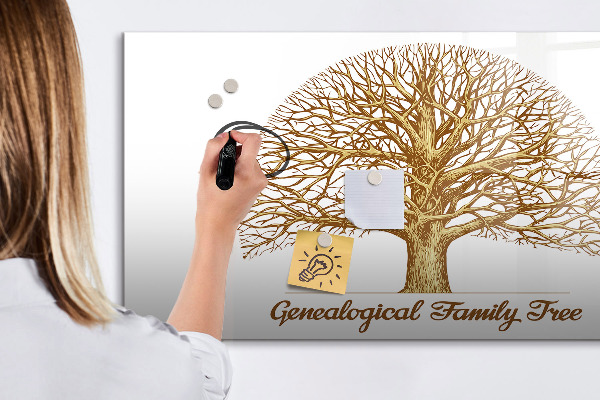 Lavagna magnetica con pennarelli Albero genealogico con spazio per le foto