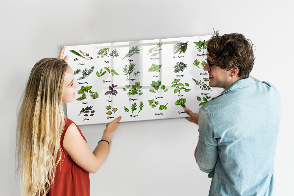 Lavagna magnetica scrivibile Erbe aromatiche e fotografie, tutto in un unico posto.