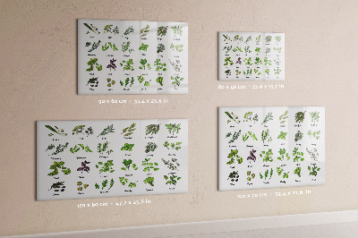 Lavagna magnetica scrivibile Erbe aromatiche e fotografie, tutto in un unico posto.