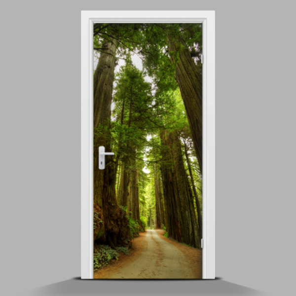 Adesivo per porta La strada attraverso la foresta