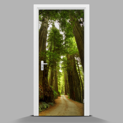 Adesivo per porta La strada attraverso la foresta