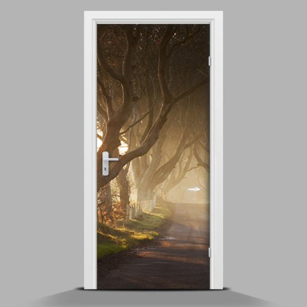 Sticker porta con disegno di alberi giganti